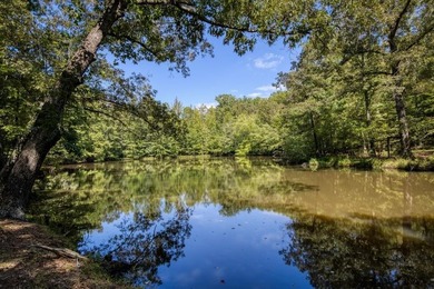 A Rare Estate Offering Luxury Living, Privacy & Timeless - photo 5