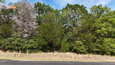 Your Wooded Lake Escape Awaits - photo 4