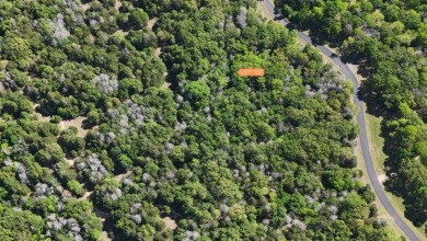 Your Wooded Lake Escape Awaits - photo 9