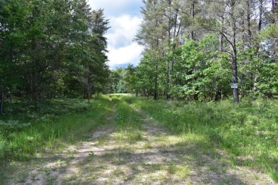 Lake Acreage For Sale in Johannesburg, Michigan