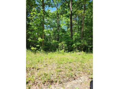 Beautiful lot! ideal for basement home-build your dream home - photo 2
