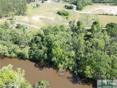 Lake Lot For Sale in Midville, Georgia