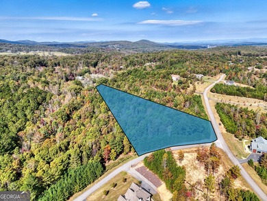 Lake Acreage For Sale in Blairsville, Georgia