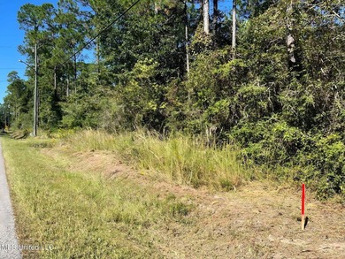 Scoop up this sweet homesite minutes to the water and the white - photo 2