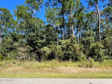 Scoop up this sweet homesite minutes to the water and the white - photo 4