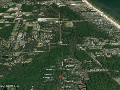 Scoop up this sweet homesite minutes to the water and the white - photo 5