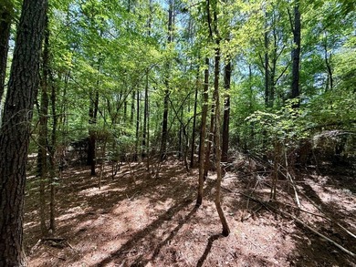 Large wooded lot in restricted lake subdivision. Plenty of room - photo 11