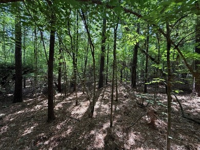 Large wooded lot in restricted lake subdivision. Plenty of room - photo 12