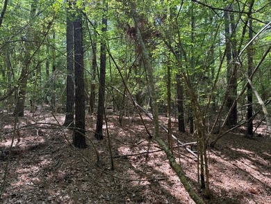 Large wooded lot in restricted lake subdivision. Plenty of room - photo 13