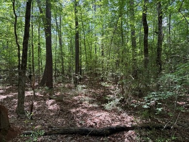 Large wooded lot in restricted lake subdivision. Plenty of room - photo 14