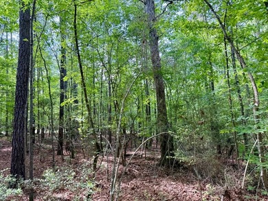 Large wooded lot in restricted lake subdivision. Plenty of room - photo 15