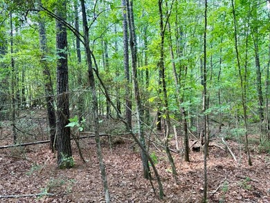 Large wooded lot in restricted lake subdivision. Plenty of room - photo 16