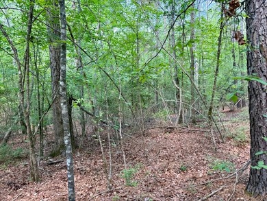 Large wooded lot in restricted lake subdivision. Plenty of room - photo 17