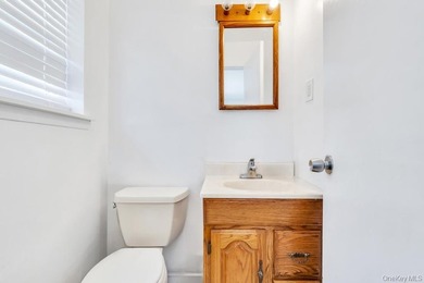 Welcome to 3 Dubois Avenue, Amityville - A Rare Expanded Ranch - photo 18