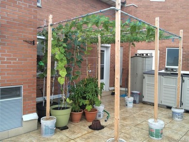 This is a 5 Bedroom 2 Bath Duplex Condo Apt with Roof Top Access - photo 4