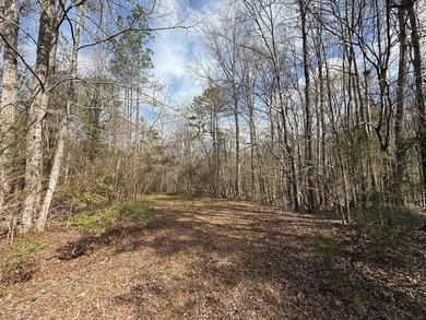 21.5 acres located just north of Waverly Hall offering a great - photo 1