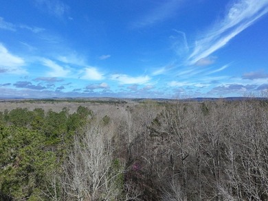 21.5 acres located just north of Waverly Hall offering a great - photo 3