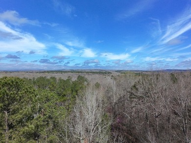 21.5 acres located just north of Waverly Hall offering a great - photo 4