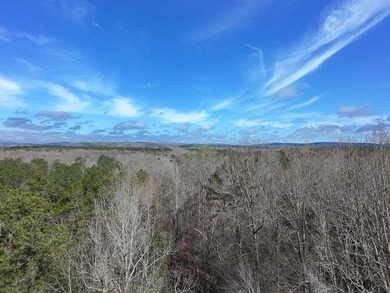 21.5 acres located just north of Waverly Hall offering a great - photo 5