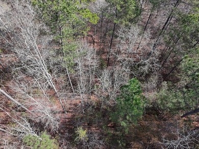 21.5 acres located just north of Waverly Hall offering a great - photo 6