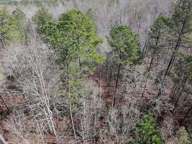 21.5 acres located just north of Waverly Hall offering a great - photo 7