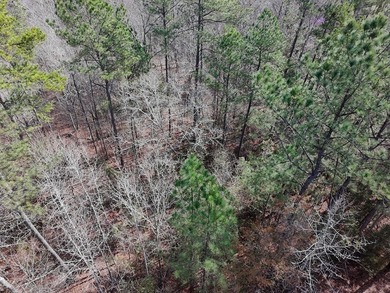 21.5 acres located just north of Waverly Hall offering a great - photo 9