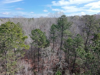 21.5 acres located just north of Waverly Hall offering a great - photo 10
