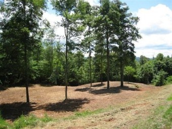Lot 156 Whistle Valley Rd - Lake Acreage For Sale in New Tazewell, Tennessee