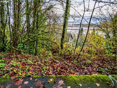 Lake Lot For Sale in Portland, Oregon