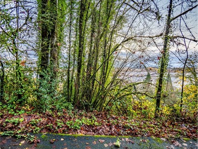 PRICE REDUCED! Unique opportunity to build your dream home in NW - photo 3
