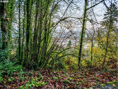 PRICE REDUCED! Unique opportunity to build your dream home in NW - photo 4