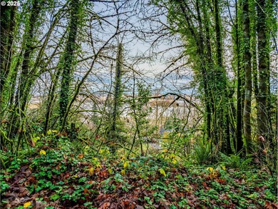 PRICE REDUCED! Unique opportunity to build your dream home in NW - photo 5