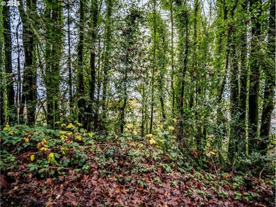 PRICE REDUCED! Unique opportunity to build your dream home in NW - photo 6