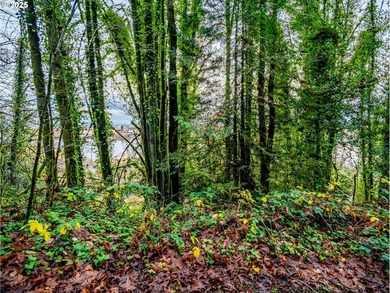 PRICE REDUCED! Unique opportunity to build your dream home in NW - photo 7