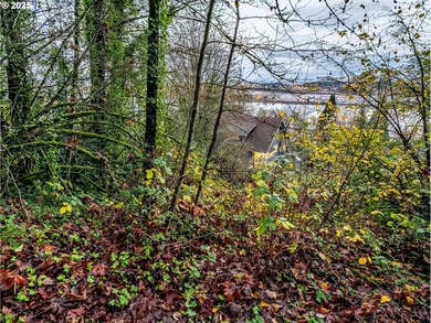 PRICE REDUCED! Unique opportunity to build your dream home in NW - photo 8