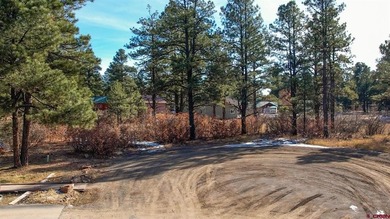 Lake Lot For Sale in Pagosa Springs, Colorado