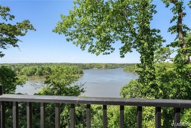 Fully Renovated with Stunning Lake Tuscaloosa Views! This - photo 42