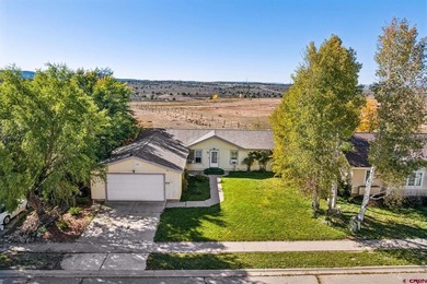 (private lake, pond, creek) Home For Sale in Ignacio Colorado