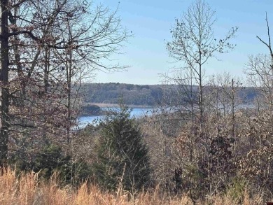 Lake Acreage For Sale in Yellville, Arkansas