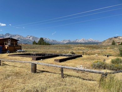 Salmon River - Custer County Lot For Sale in Stanley Idaho