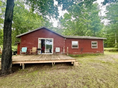 Lake Home For Sale in Atlanta, Michigan