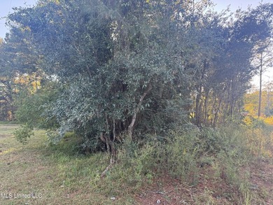 Looking for a big lot on a wide canal at an affordable price - photo 2