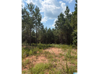 Lake Mitchell Acreage For Sale in Clanton Alabama