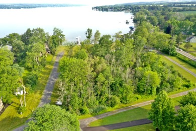 LEVEL OWASCO LAKE FRONTAGE - photo 3