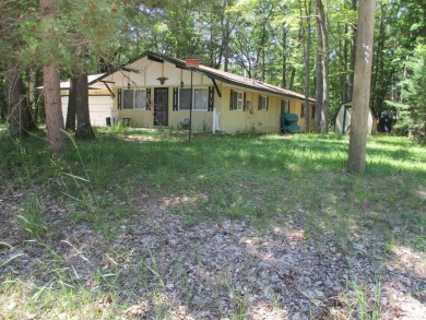 Lake Home For Sale in Lewiston, Michigan