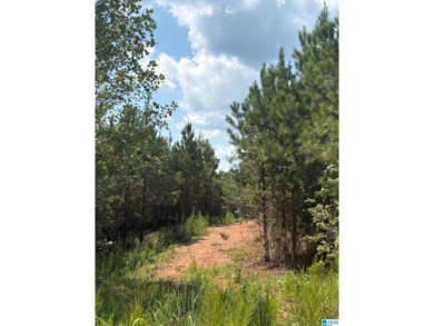 Lake Mitchell Acreage For Sale in Clanton Alabama