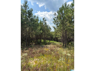 Lake Mitchell Acreage For Sale in Clanton Alabama