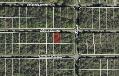 Port Charlotte Waterway Lakes Area Lot For Sale in Port Charlotte Florida
