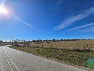 This expansive 54.15-acre level tract offers the ideal setting - photo 4