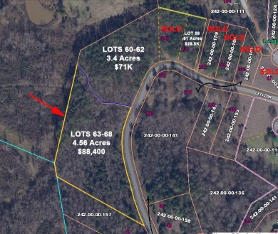 Love your privacy? Rare opportunity to purchase a nice small - Lake Lot For Sale in Waterloo, South Carolina